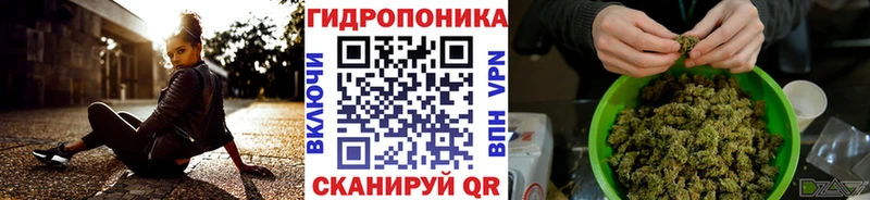 Купить закладку Ачхой-Мартан Гашиш  Cocaine  АМФЕТАМИН  МЕФ 