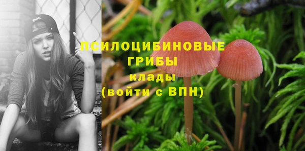 ECSTASY Абинск