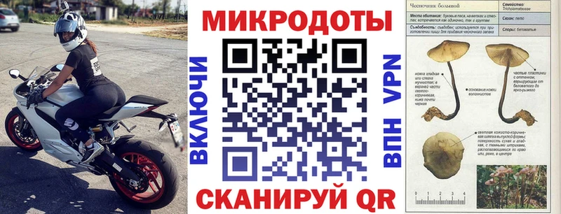 Галлюциногенные грибы Psilocybine cubensis  Ачхой-Мартан 