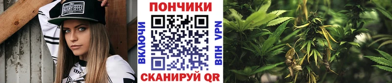 Бошки марихуана планчик Ачхой-Мартан